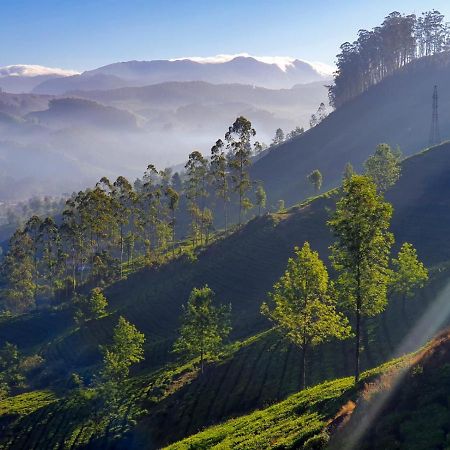 Grace Inn Munnar Homestay Екстериор снимка