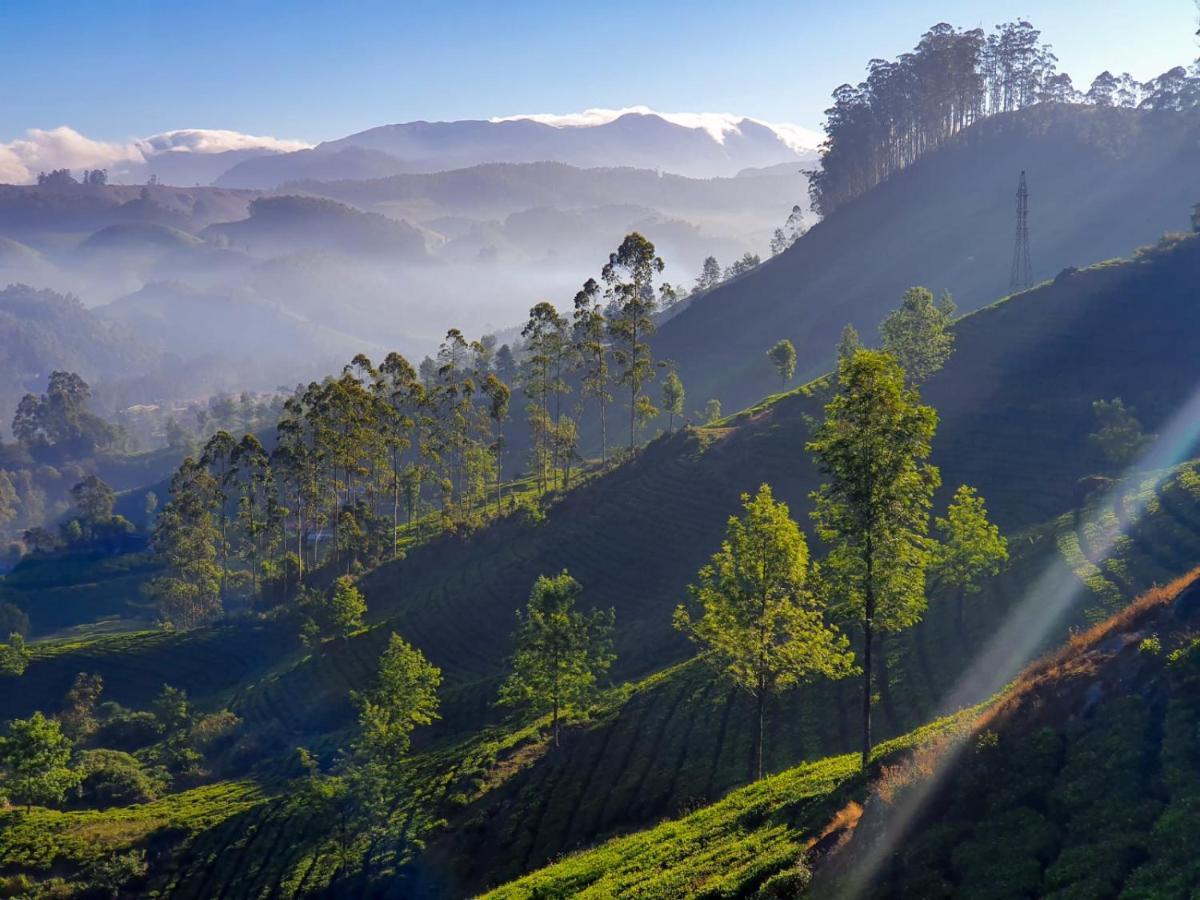 Grace Inn Munnar Homestay Екстериор снимка